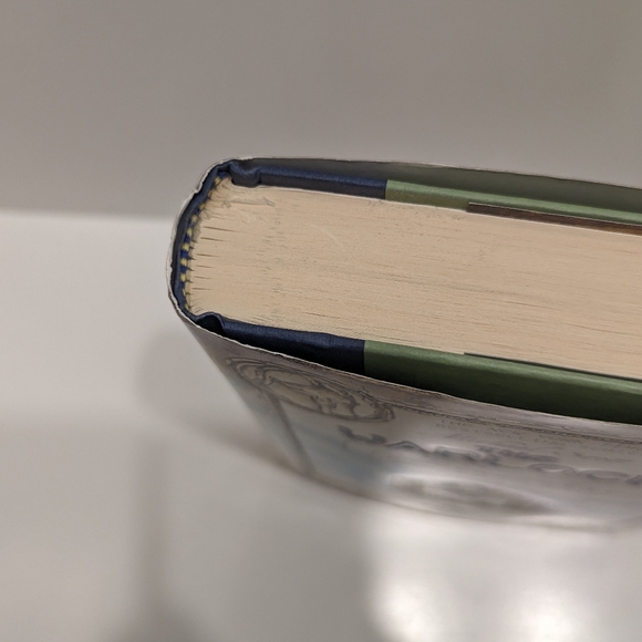 The Warlock: The Secrets of the Immortal Nicholas Flamel (2011, Hardcover) - Picture 8 of 9